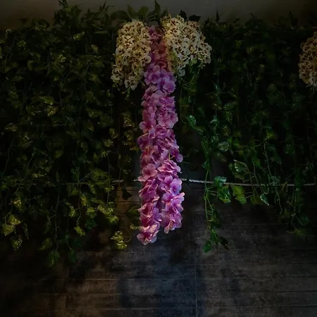 Attico43 Openspace Fronte Mare Διαμέρισμα Loano